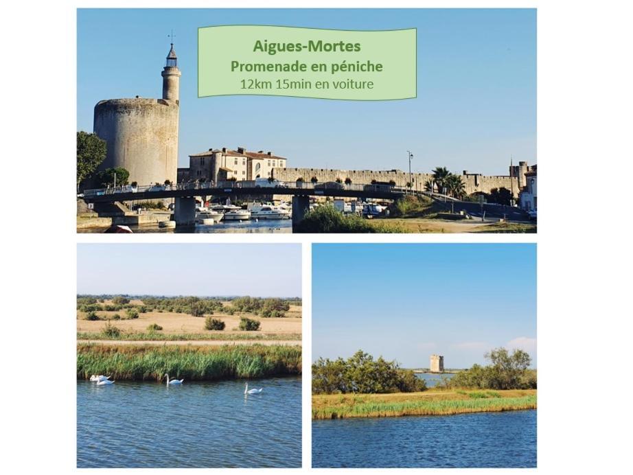 L'Olympe Vue Lac Parking Clim Wifi - Rossiconciergerie - Linge Inclus La Grande-Motte Kültér fotó